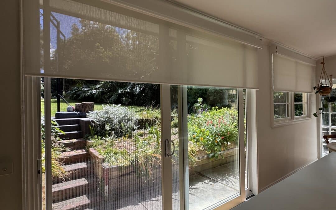 Fresh bright white Double Blinds for a sun-filled renovated kitchen and dining room.