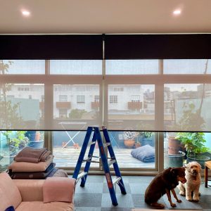 Double Slim Profile Roller Blinds for feature window and sliding doors.